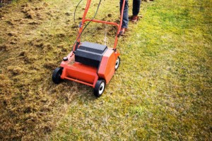 Fotolia_79640430_S_klein